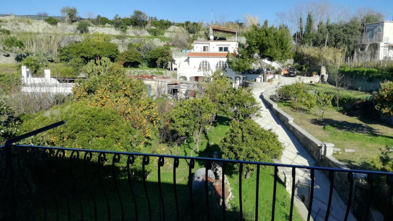 Casa Delle Sirene Διαμέρισμα Forio di Ischia Εξωτερικό φωτογραφία